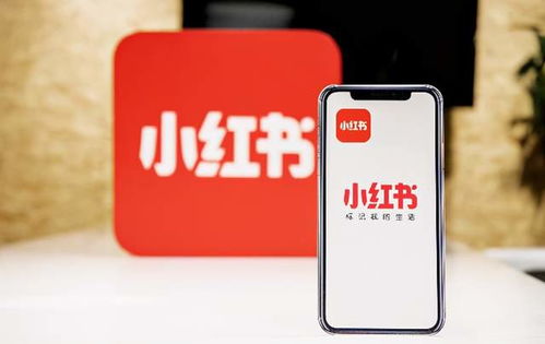 小红书的“引力场” 青云众解析年轻品牌与消费者的汇聚之道
